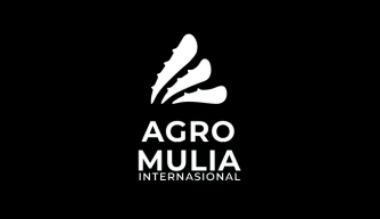 Loker Content Creator - Sosial Media Desain - Live Talent Tiktok & Shopee di PT. Agro Mulia Internasional